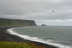 Iceland, Reynisfjara Black Sand Beach