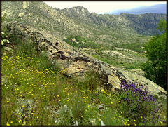 Monastery and Sierra in spring.