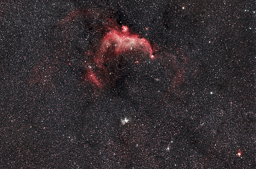 Wide field view of the Seagull Nebula IC2177 area.