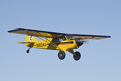 Aviat A-1B Husky N160AA