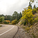 Driving to the crest of the Sandia mountains14