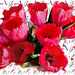 My wonderful bouquet of tulips ♡