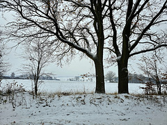Mecklenburger Winterlandschaft