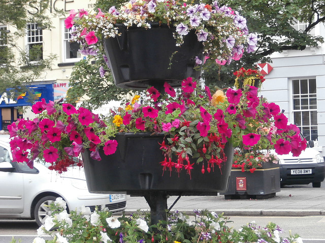 Bideford flower displays on the quayside
