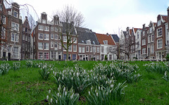 Nederland - Amsterdam, Begijnhof