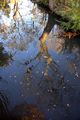 Autumn Reflections 2