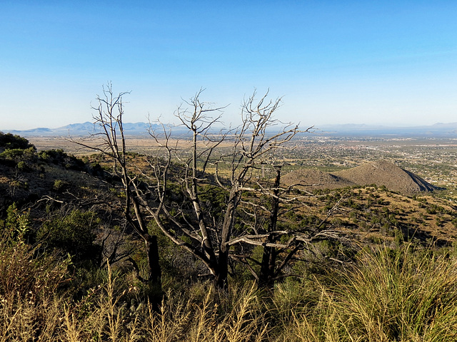 Sierra Vista and the San Pedro Valley
