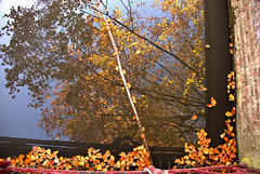 Autumn Reflections 1