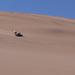 Tobogganing in the Namib Desert