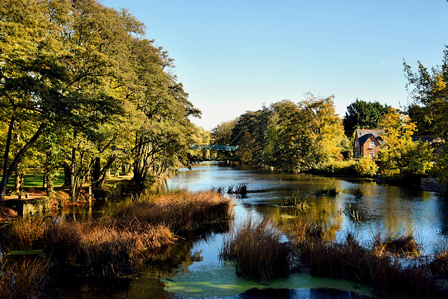 The River Stour at Blandford Forum.