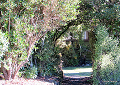 Leafy Arch