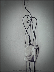 The 50 Images Project - tea bag - 48/50 - entangled