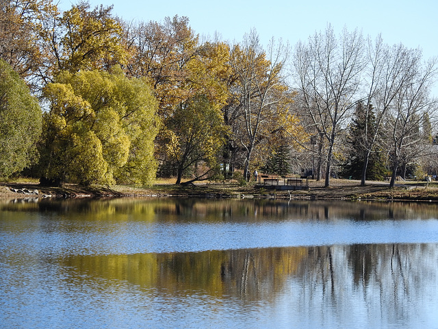 Carburn Park in the fall