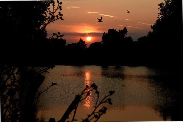 Sunset over Poppy Hill Lakes