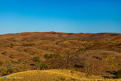 Spinifex Grasslands (viewing from Tylers Pass)