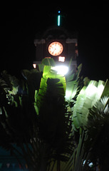 Horloge du jardin (3)