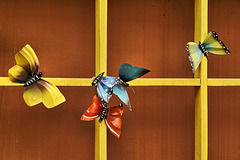 Wooden Butterflies – Gift Shop, Parque Nacional Volcan Poás, Alajuela Province, Costa Rica