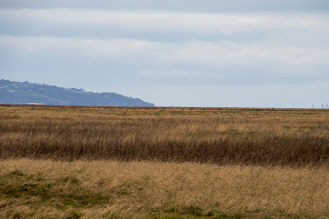 Dee marshes3