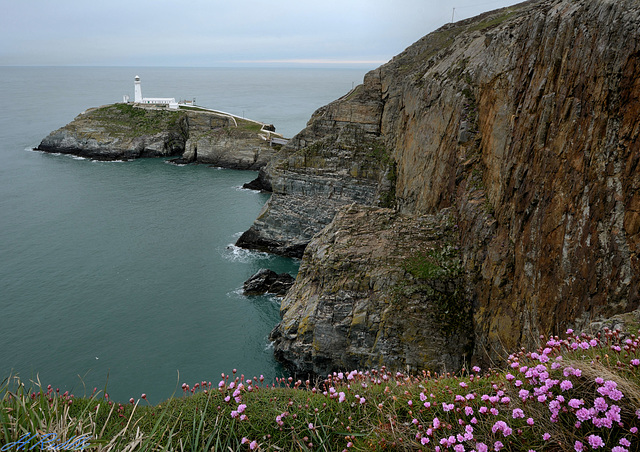 South Stack, Anglesey