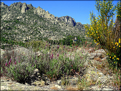 La Sierra de La Cabrera