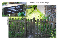 The squeeze gate - East Dean - Sussex - 30.4.2015