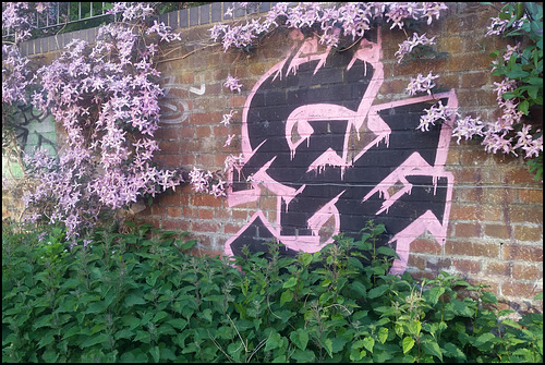 flowers to match the graffiti