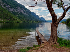 Am Bohinjsko jezero  (Wocheiner See) (PiP)