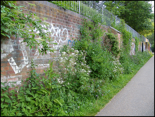 spring foliage on canalside wall