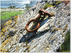Rusty anchor ring, well anchored!