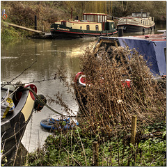 The Isis near Osney