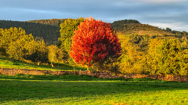 Tarde de otoño en Lekaroz -  Navarra.