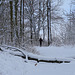 Schnee und Langlauf gut - Snow and cross-country skiing good