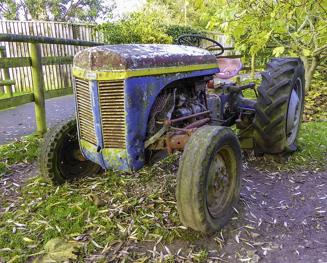 An old Ferguson tractor