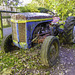 An old Ferguson tractor