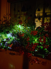 10.09.2020 - Romantische Gartenbeleuchtung