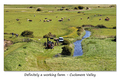 A working farm Cuckmere Sussex 21 5 2015
