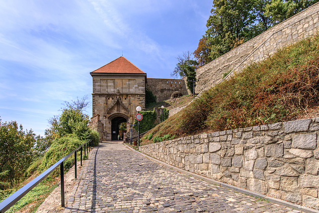 Bratislava - castle (PiP)