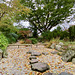 Hortus Botanicus 2020 – Japanese garden