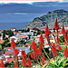 Madeira   : la bella città di Funchal e Cabo Girao