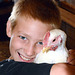 News entry: Chicken love