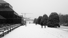 Botanic Gardens in the Snow