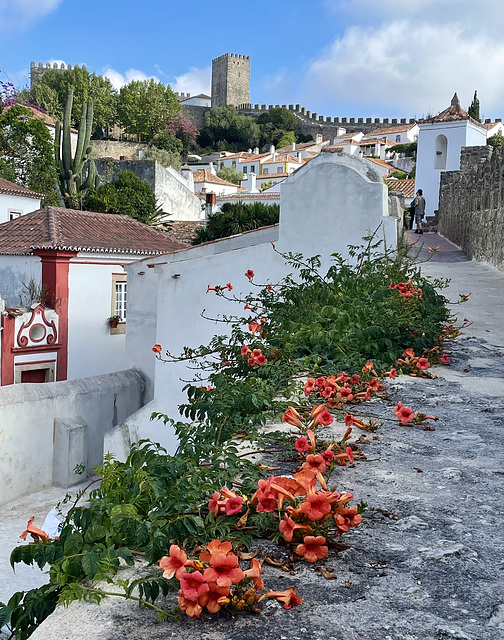 Óbidos 1