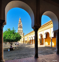 Patio de los naranjos - Mezquita de Córdoba