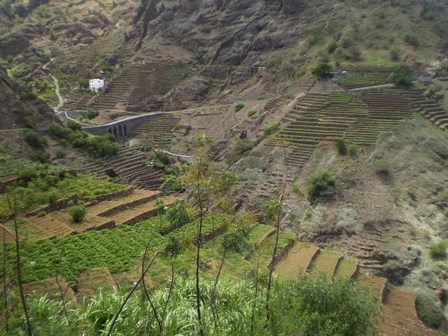 Agriculture in stairways.