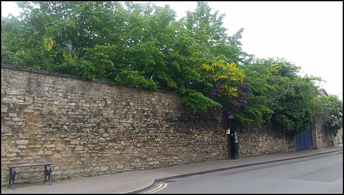 Walton Street wall