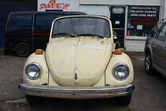 Canada 2016 – Toronto – Volkswagen Beetle
