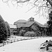 Botanic Gardens in the Snow