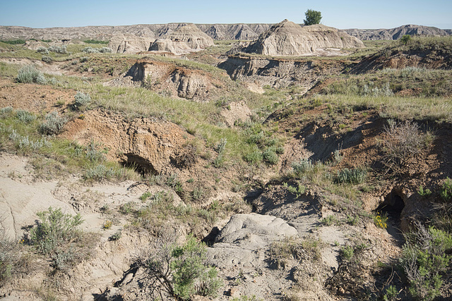 a dry watercourse in the badlands