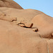 Namibia, Small Stones on the Granite Surface of Spitzkoppe