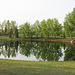 Small pond at Carburn Park